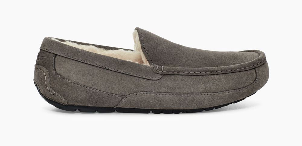 Ugg Slipper Mens - Ugg Ascot Grey - 928UVEBHG